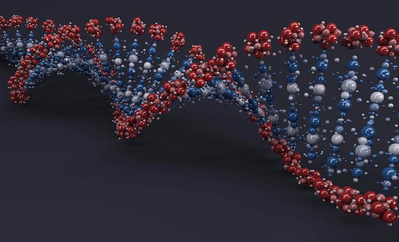 DNA Testing Bradford